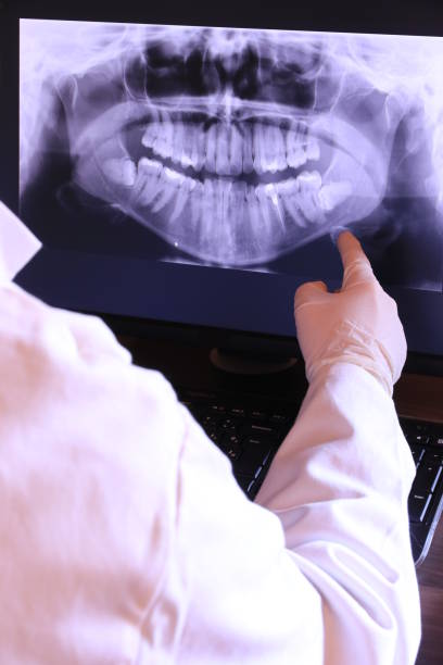 Best Emergency X-Rays and Diagnostics in Spring Glen, UT